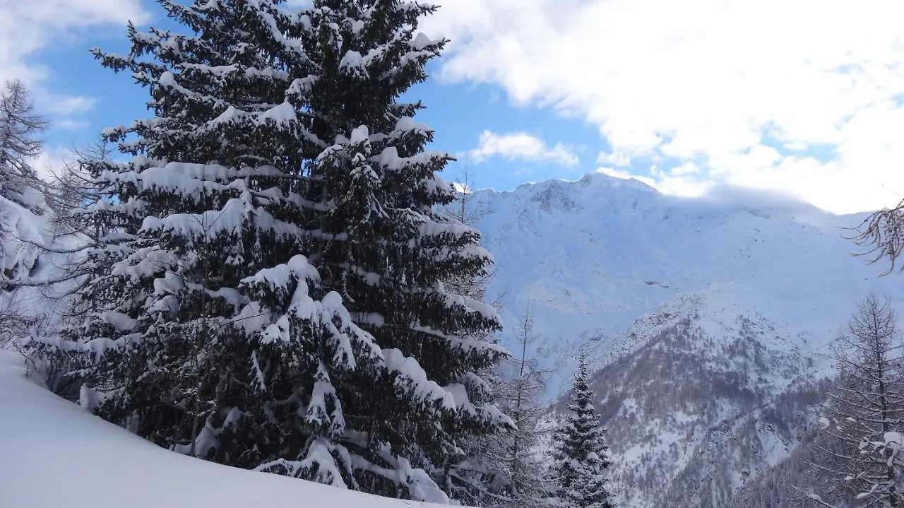 The French Lodge Peisey-Nancroix Chalé